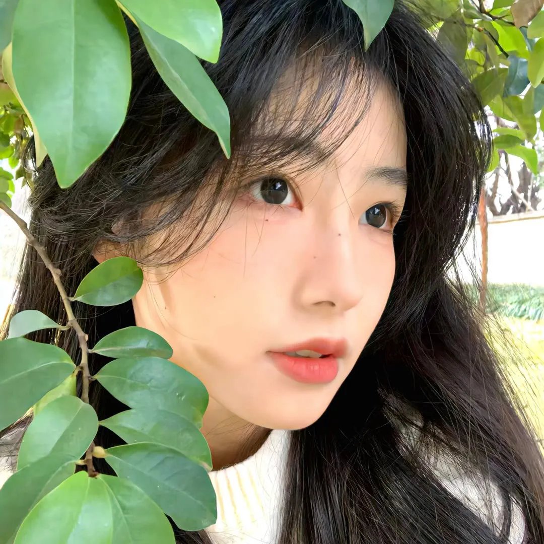 我被青春闪了腰封面